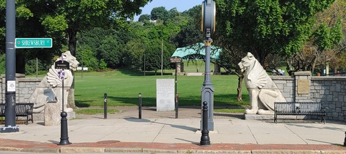 CIR @ Colombo Park. Family Movie Screening poster