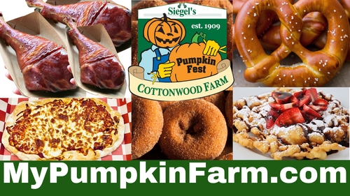 Pumpkin Fest 2025 image