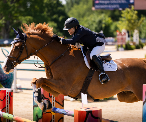 Saturday Afternoon Horse Jumping in Traverse City image