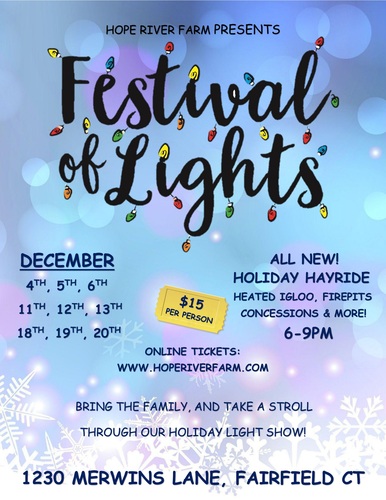 Festival of Lights poster
