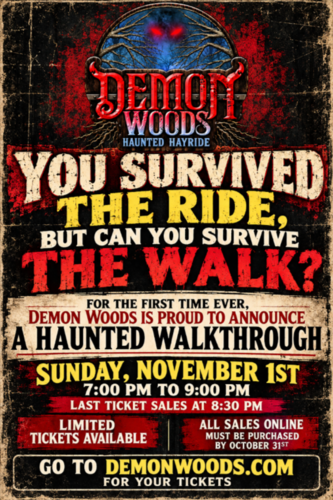DEMON WOODS: Haunted Walkthrough poster