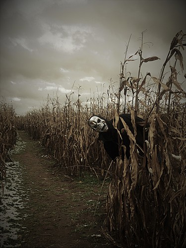 Feltz Fear Farm 2025 image