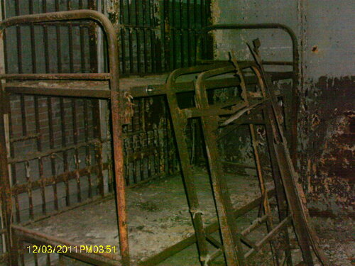 T-Dawg Challenge and Fundraiser poster