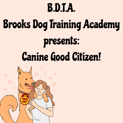 Canine Good Citizen Training Workshop poster